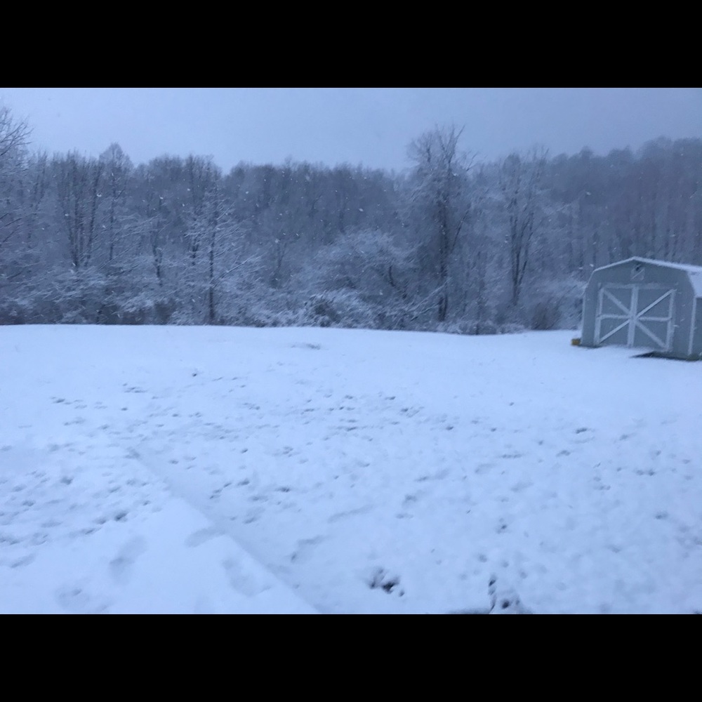 Meet your Posher, Meg